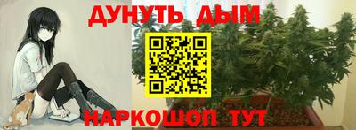 Альфа ПВП Краснокаменск