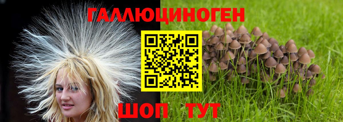 Alpha PVP Кизилюрт