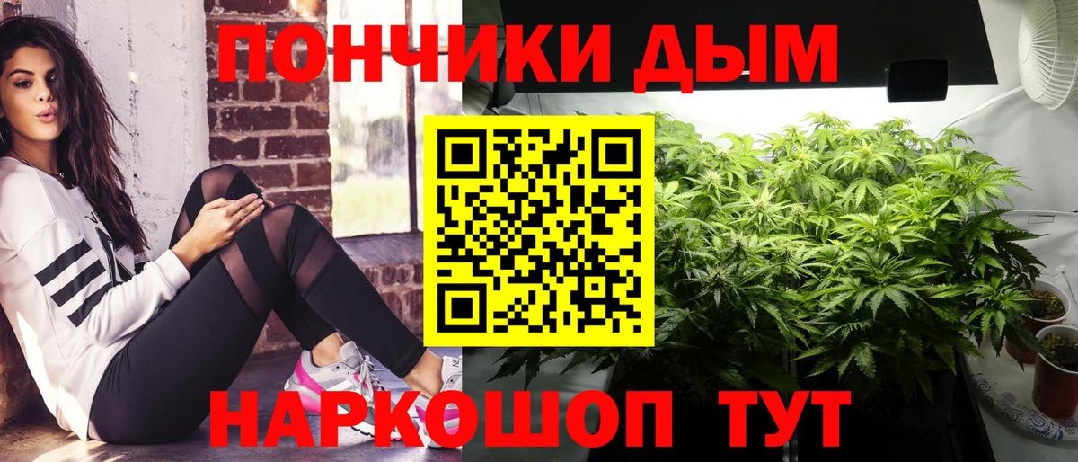 Каннабис индика Кизилюрт